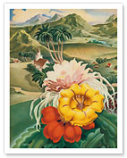 Hawaii USA, 1942 Hawaii Tourist Bureau booklet - Fine Art Prints & Posters