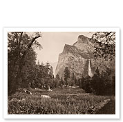 Bridalveil Fall - Yosemite Valley, California - c. 1865 - Giclée Art Prints & Posters