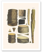 Calamoideae Palm Trees (Rattans) - Trunk and Stem - Giclée Art Prints & Posters