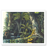 Amazon Rain Forest, Brazil - Palm Trees - Hunting Cheetah - Giclée Art Prints & Posters