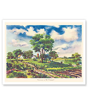 Summer In The Midwest - c. 1949 - Giclée Art Prints & Posters