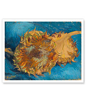 Sunflowers - Still Life - c. 1887 - Giclée Art Prints & Posters