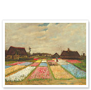 Flower Beds in Holland - c. 1883 - Fine Art Prints & Posters