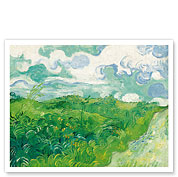 Green Wheat Fields, Auvers, France - c. 1890 - Giclée Art Prints & Posters