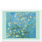 Almond Blossoms - Saint-Rémy-de-Provence, France - c. 1890 - Fine Art Prints & Posters