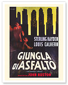 The Asphalt Jungle (Giungla Di Asfalto) - Starring Sterling Hayden Director John Huston - c. 1950 - Fine Art Prints & Posters