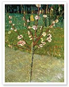 Almond Tree in Blossom - c. 1888 - Fine Art Prints & Posters