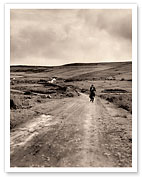 Country Road - County Clare Ireland - c. 1954 - Fine Art Prints & Posters
