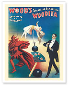 Wood’s Woodita Startling Sensation - c. 1908 - Fine Art Prints & Posters