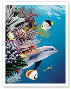 Dolphin's Reef, Hawaii - Giclée Art Prints & Posters