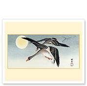 Birds at Full Moon - c. 1900 - Fine Art Prints & Posters