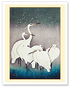 Group of Egrets - c. 1925 - Fine Art Prints & Posters