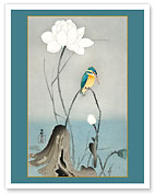 Kingfisher with Lotus Flower - c. 1900 - Fine Art Prints & Posters