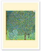 Rosebushes Under the Trees - c. 1905 - Fine Art Prints & Posters