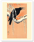 Crow on Snowy Branch - c. 1910 - Fine Art Prints & Posters