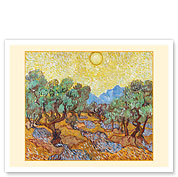 Olive Trees - c. 1889 - Fine Art Prints & Posters