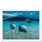 The Chase, Hawaiian Bottlenose Dolphins - Fine Art Prints & Posters