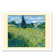 Green Wheat Field with Cypress Tree - c. 1889 - Fine Art Prints & Posters