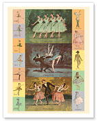 Ballet - Sleeping Beauty - Swan Lake - Le Beau Danube - c. 1959 - Fine Art Prints & Posters
