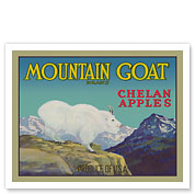 Chelan Apples - Mountain Goat Brand - c. 1930's - Fine Art Prints & Posters