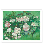 Pink Roses (Rosa Rosen) - c. 1890 - Fine Art Prints & Posters