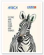 Africa - Come and See Our Stars and Stripes - Zebra - South African Airways - Giclée Art Prints & Posters