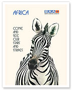 Africa - Come and See Our Stars and Stripes - Zebra - South African Airways - Fine Art Prints & Posters