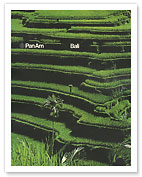 Bali - Pan American World Airways - Balinese Rice Terraces - c. 1971 - Fine Art Prints & Posters