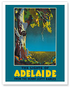 Lights of Adelaide, Australia - Australian Eucalyptus Tree - From the Mount Lofty Ranges - c. 1930's - Fine Art Prints & Posters