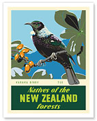 Natives of the New Zealand Forests - Karaka Berry - Tui Bird - c. 1950 - Fine Art Prints & Posters