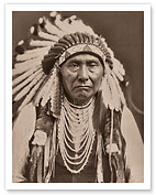 Chief Joseph (Nez Percé) in War Bonnet - North American Indian - c. 1903 - Fine Art Prints & Posters