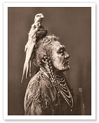 Two Whistles - Apsaroke Man in Medicine Hawk Headdress - North American Indian - c. 1908 - Fine Art Prints & Posters