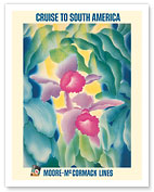 Cruise to South America - Tropical Orchids - Moore-McCormack Lines - c. 1950's - Fine Art Prints & Posters