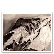Georgia O’Keeffe - Hands and Horse Skull - c. 1931 - Fine Art Prints & Posters