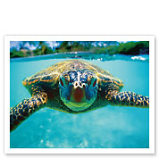 Honu, Hawaiian Sea Turtle - Giclée Art Prints & Posters