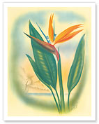 Hawaiian Bird of Paradise - Fine Art Prints & Posters