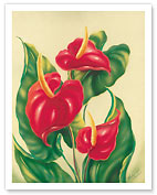 Anthurium II, Red Hawaiian Tropical Flowers - Fine Art Prints & Posters