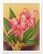 Cattleya, Pink Orchid Tropical Flowers - Fine Art Prints & Posters
