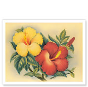 Hawaiian Hibiscus - Giclée Art Prints & Posters