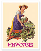 France - Wine Vineyard - c. 1960's - Fine Art Prints & Posters