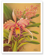 Pink Cattleya Orchid Flower - Fine Art Prints & Posters