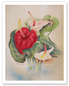 Red and White Anthuriums Hawaii - Fine Art Prints & Posters