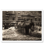 The Terminal, New York - c. 1893 - Fine Art Prints & Posters