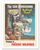 Smokey the Bear - Prevent Wildfires - San Bernardino National Forest - c. 1960's - Fine Art Prints & Posters