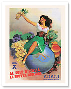 From The Sun In Italy Comes The Best Fruit - Adani Wine - c. 1950's - Fine Art Prints & Posters