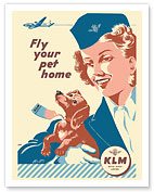 Fly Your Pet Home - KLM Royal Dutch Airlines - c. 1953 - Fine Art Prints & Posters