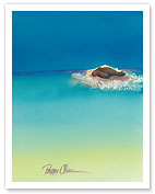 Beach Bum - Hawaiian Monk Seal Basking on Tiny Island (Mokupuni) - Giclée Art Prints & Posters