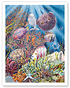 Coral Reef - Hawaiian Fish (I'a) - Fine Art Prints & Posters