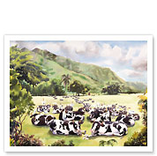 Egrets - On the Backs of Hawaiian Cows (Pipi) - Fine Art Prints & Posters