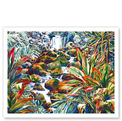 Manoa Stream - Manoa Falls, Oahu Hawaii - Fine Art Prints & Posters